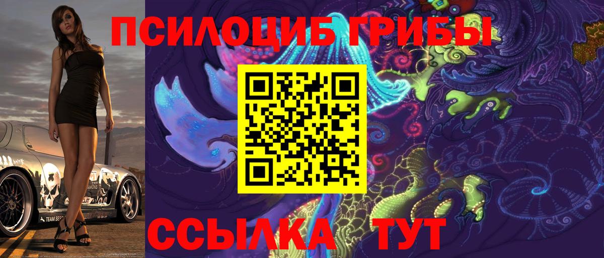 Галлюциногенные грибы Psilocybine cubensis Лесосибирск